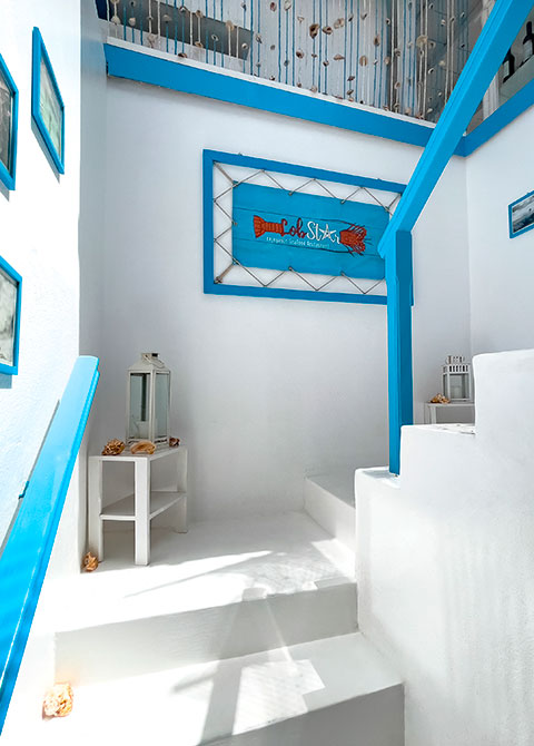 LobSTAR Enjoyable Seafood Restaurant | Fresh Colors