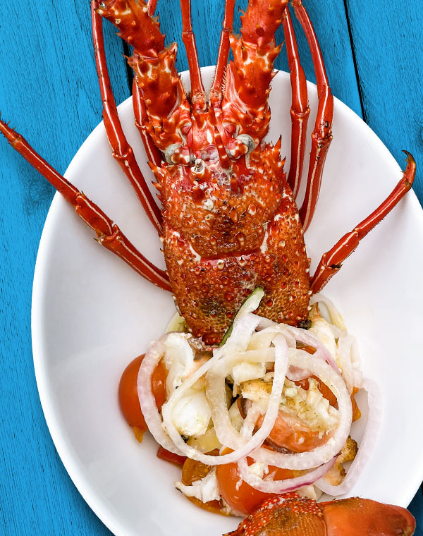 LobStar Enjoyable Seafood Restaurant | Santa Maria | Ilha do Sal | Cape Verde | Insalata di Aragosta alla Catalana