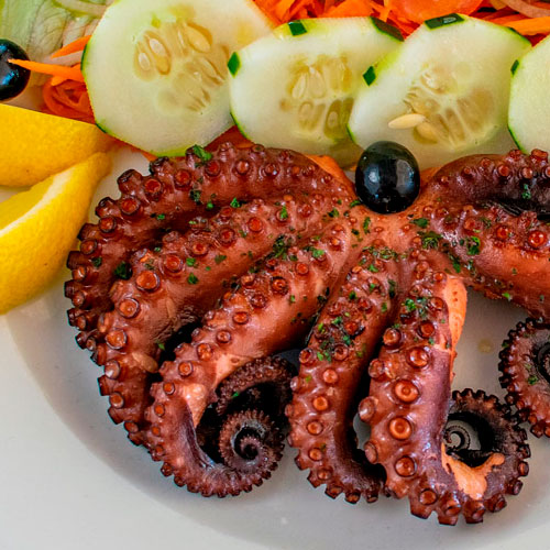 LobStar Enjoyable Seafood Restaurant | Grilled Octopus | with fresh salad